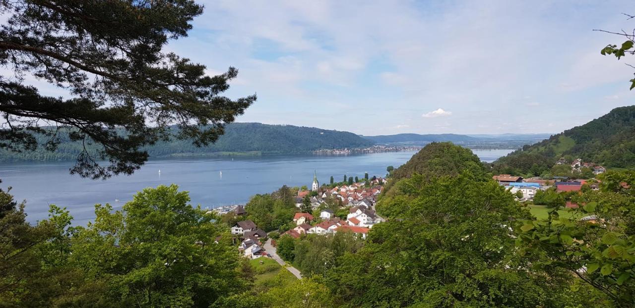 Apartment Ferienwohnung-wald *