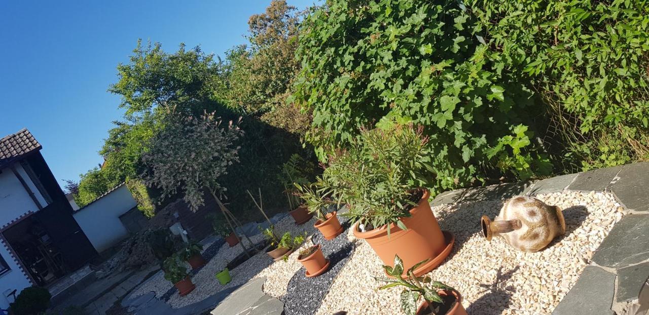 Apartment Ferienwohnung-wald Wald (Baden-Wurttemberg)
